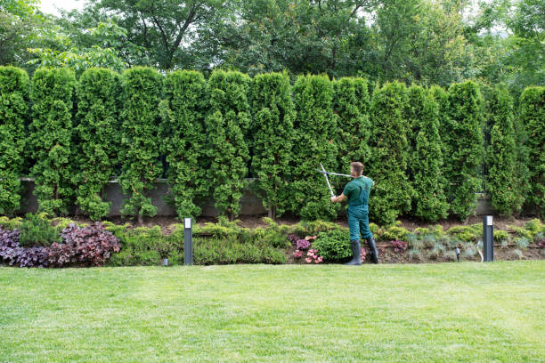 Best Lawn Edging Services  in Bristol, WI